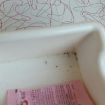 Penny's Diner - Container with dead bugs I found on my table - American Near Me - Marysville, Kansas Penny's Diner - Container with dead bugs I found on my table - American Near Me - Marysville, Kansas