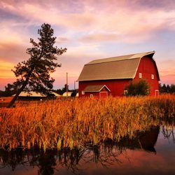 Lazy Z Ranch Wines - Iconic old red barn at the Lazy Z