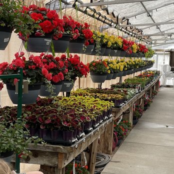 Urban Garden - Nurseries & Gardening Near Me - Louisville, Colorado