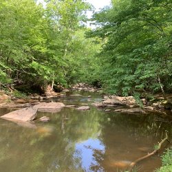Zooland Family Campground - Little River