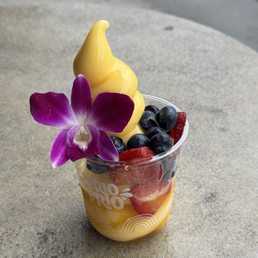 Tropical Madness