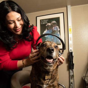 California Hearing Center - Audiologist Near Me - San Carlos, California California Hearing Center - Audiologist Near Me - San Carlos, California