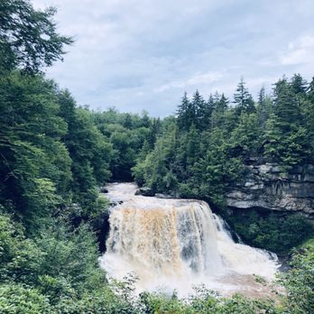 Blackwater Falls State Park - Falls - Parks Near Me - Davis, West Virginia Blackwater Falls State Park - Falls - Parks Near Me - Davis, West Virginia