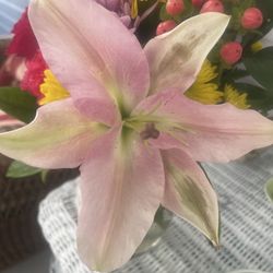 Lindvall Florist - Old flowers, Lily
