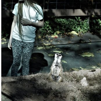 Central Coast Zoo - Zoos Near Me - Atascadero, California Central Coast Zoo - Zoos Near Me - Atascadero, California