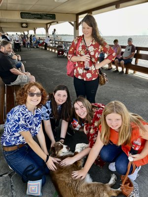 St Simons Island Pier by null
