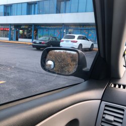 finatics aquarium store