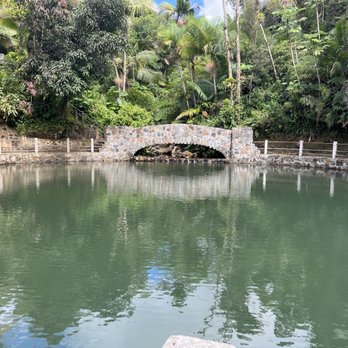 El Yunque Rainforest - Hiking Near Me - Luquillo, Puerto Rico
