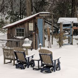 Residential Specialty Landscapes - My chicken coop in Winter...I can do chickens for you!!