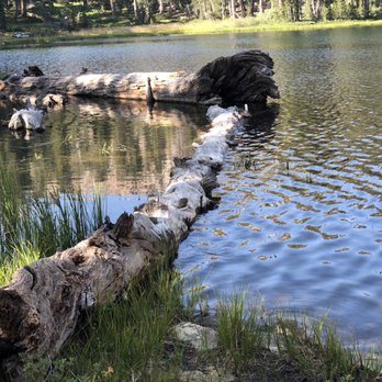 Shaver Lake - Fishing Near Me - Auberry, California Shaver Lake - Fishing Near Me - Auberry, California