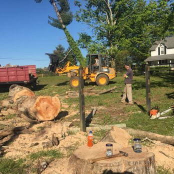 Thomas's Tree Services - Finishing up on Saturday - Tree Services Near Me - Heiskell, Tennessee Thomas's Tree Services - Finishing up on Saturday - Tree Services Near Me - Heiskell, Tennessee
