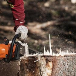 A1 Tree Company