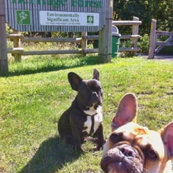 Medway Valley Heritage Forest - Guys! This is me plus my bestie Bella hanging out at the park!