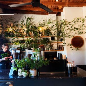 Elegy Coffee - plants - Coffee & Tea Near Me - Nashville, Tennessee Elegy Coffee - plants - Coffee & Tea Near Me - Nashville, Tennessee