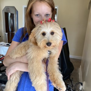 Bones Bath and Beyond on Yelp