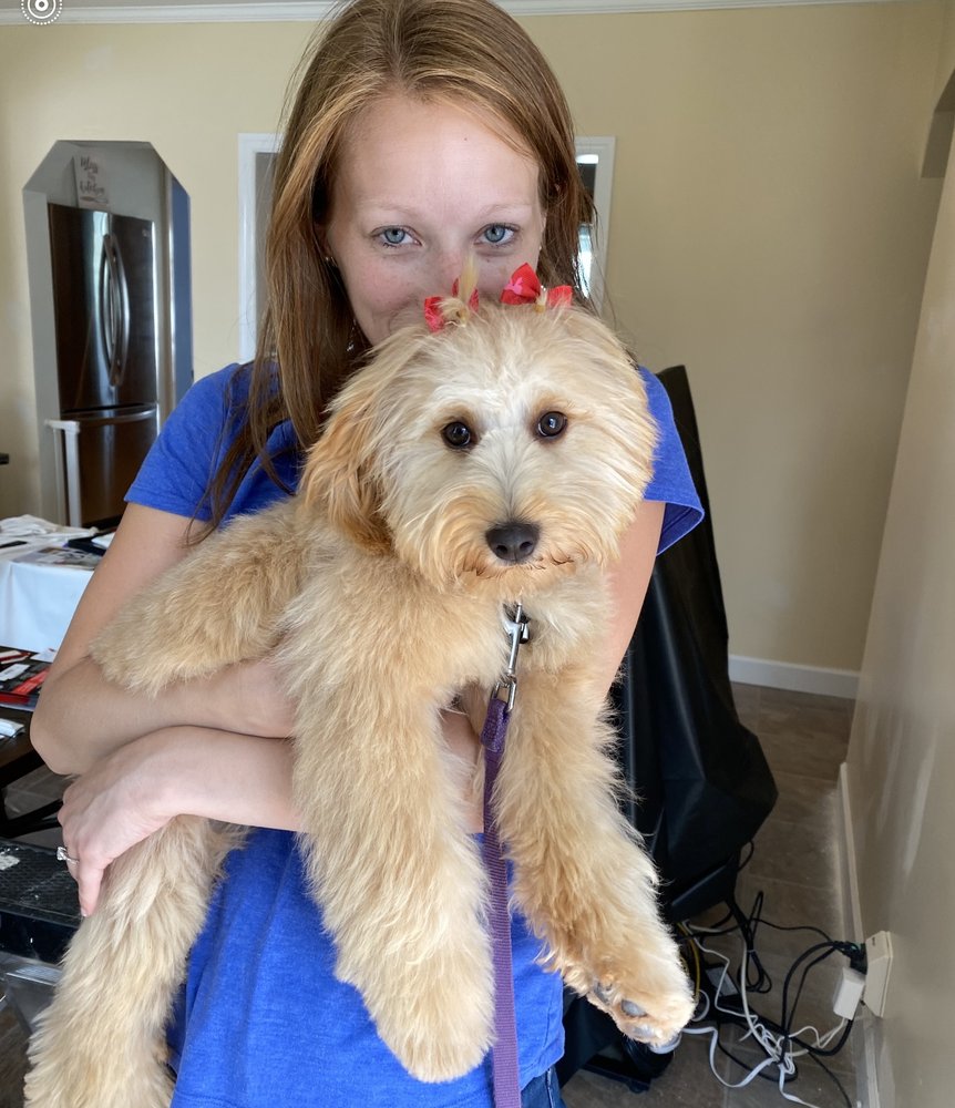 BONES BATH AND BEYOND Updated August 2024 123 Photos & 41 Reviews