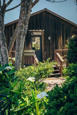 The Waiting Room by null