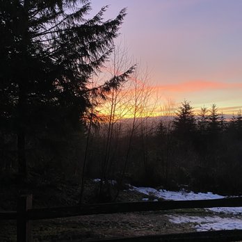 Stub Stewart State Park - View from cabin 14 in January - Parks Near Me - Buxton, Oregon