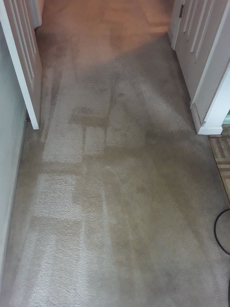MR. TOP SHELF CLEANING 23 Photos Norfolk, Virginia Carpet