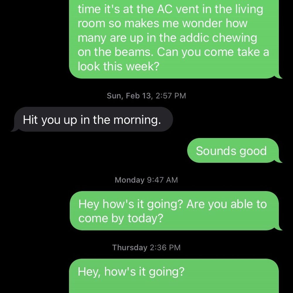 A-Leo Termite & Pest Control - Pest Control Near Me - Avondale, Arizona A-Leo Termite & Pest Control - Pest Control Near Me - Avondale, Arizona