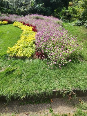 Nokonoshima Island by null