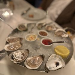 Assorted variety of mussels
