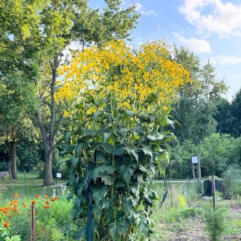 County Farm Park - Parks Near Me - Ann Arbor, Michigan
