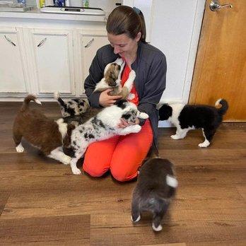 Chestnut Ridge Animal Clinic - Veterinarians Near Me - Auburn, New York Chestnut Ridge Animal Clinic - Veterinarians Near Me - Auburn, New York