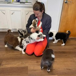 Chestnut Ridge Animal Clinic