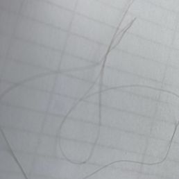 Hair found in chilli