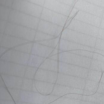 Wendy's - Hair found in chilli - Fast Food Near Me - Independence, Ohio