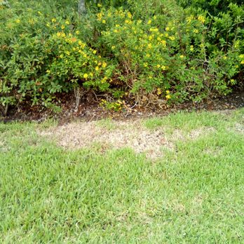 Bellacina by Casey Key - Taylor Morrison - Apartments Near Me - Nokomis, Florida