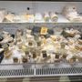 Provisions Market Hall