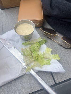 Standard at Alpharetta by null