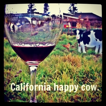 Frog's Leap Winery - They said the cow was quiet, I think that is an understatement! - Wineries Near Me - Rutherford, California
