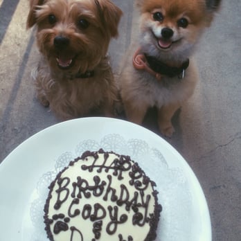 The Dog Bakery - Birthday boys! - Pet Stores Near Me - Pasadena, California The Dog Bakery - Birthday boys! - Pet Stores Near Me - Pasadena, California
