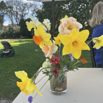 Filoli - Love the colors - Botanical Gardens Near Me - Woodside, California