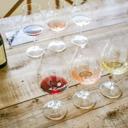 De Lancellotti Family Vineyards