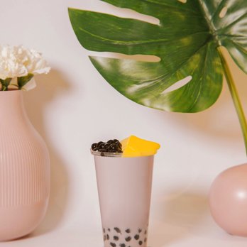 Shaker - Bubble Tea Near Me - Milan, Michigan