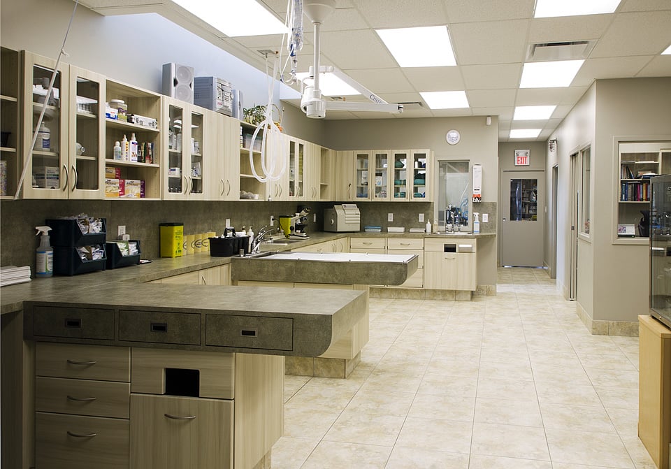 LAIRD EGLINTON PET HOSPITAL Updated September 2024 12 Photos & 14