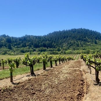 Mounts Family Winery - Beautiful property - Wineries Near Me - Healdsburg, California Mounts Family Winery - Beautiful property - Wineries Near Me - Healdsburg, California