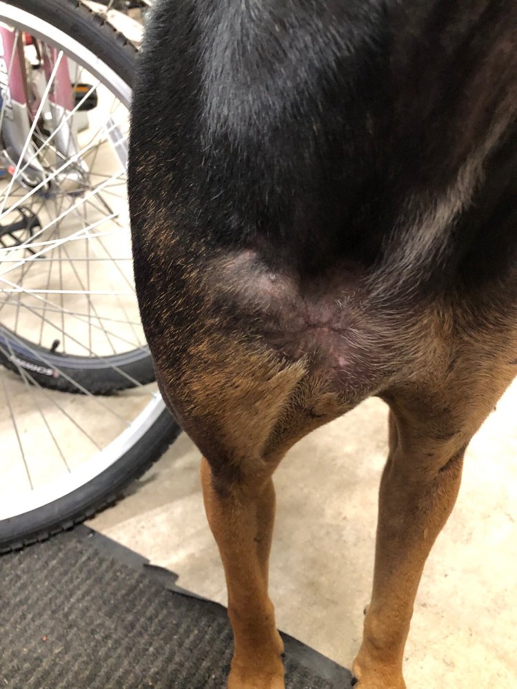 Garden Park Animal Clinic Image