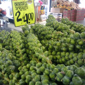 Carpinito Brothers - yum - Nurseries & Gardening Near Me - Kent, Washington