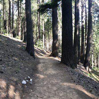 Castle Crags State Park - The start of the Root Creek Trail to Castle Crag Dome - Parks Near Me - Castella, California Castle Crags State Park - The start of the Root Creek Trail to Castle Crag Dome - Parks Near Me - Castella, California