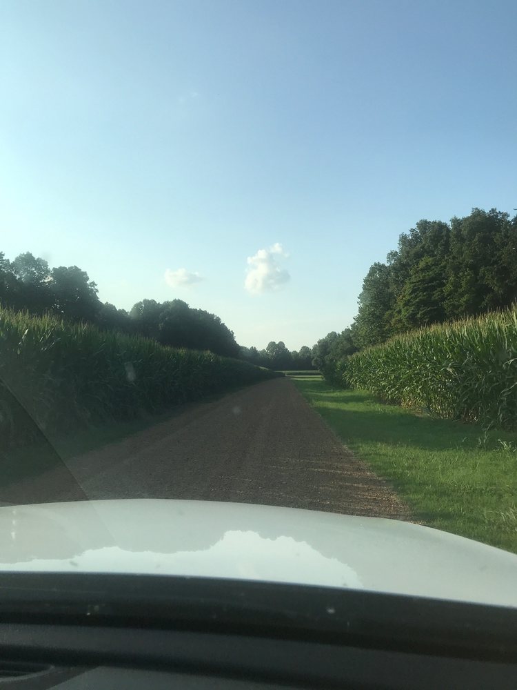 FYRNE LAKE 6875 Lenox Nauvoo Rd, Dyersburg, Tennessee Venues