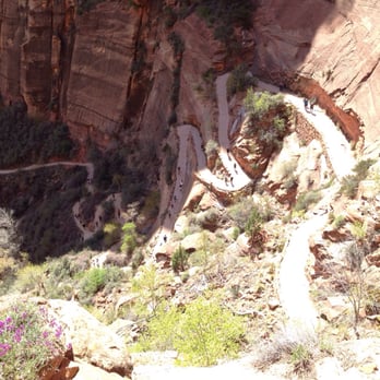 Angel's Landing - Switchbacks for dayzz - Hiking Near Me - Springdale, Utah Angel's Landing - Switchbacks for dayzz - Hiking Near Me - Springdale, Utah