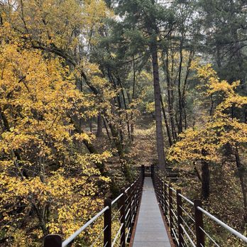 Deer Creek Tribute Trail - What a gorgeous fall hike - Hiking Near Me - Nevada City, California