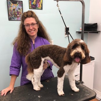 Elite Pet Salon - Pet Groomers Near Me - Lewiston, Idaho Elite Pet Salon - Pet Groomers Near Me - Lewiston, Idaho