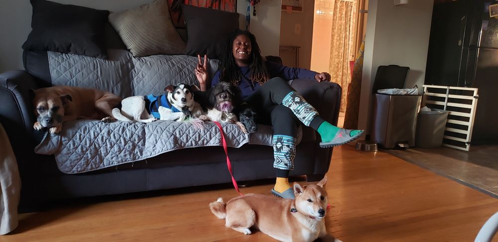 Deuce's Dog Institute - pet boarding facility in Chicago, IL