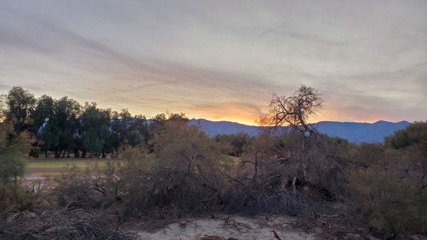 Furnace Creek Campground by null